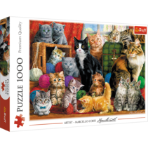Puzzel 1000 stuks - Katachtige Ontmoeting