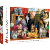 Puzzle 1000 pieces - Feline Encounter