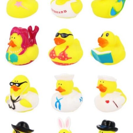 Eendjes 12 assorti 5cm