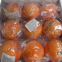 High Bounce ball 90mm - Holland Oranje - Medio April verwacht