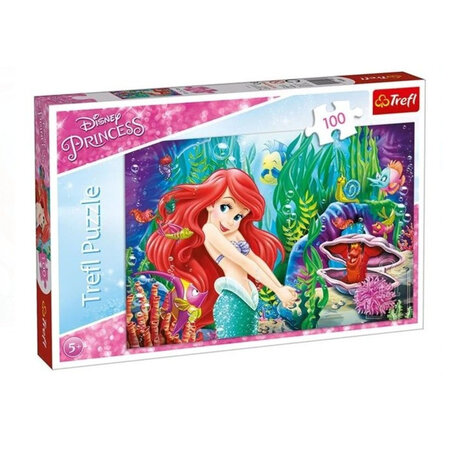 Disney-Prinzessinnen-Puzzle mit 100 Teilen