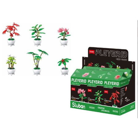 Pleyerid Flowers Bricks Green 9x6x15,5cm - Potted plants