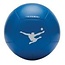 Panini bal size 5 - Blauw/Blue