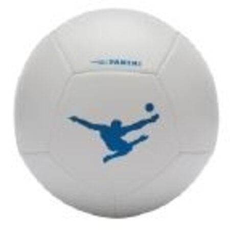 Panini bal size 5 - Wit/White
