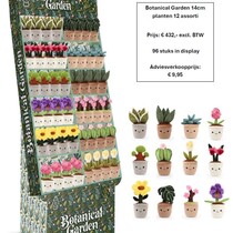 Pluche 14cm planten 12 assorti in display