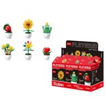 Pleyerid Flowers Bricks Red 9x6x15,5cm - Topfpflanzen