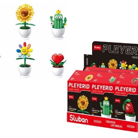 Pleyerid Flowers Bricks Red 9x6x15,5cm - Topfpflanzen