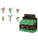 Pleyerid Flowers Bricks Green 9x6x15,5cm - Potted plants