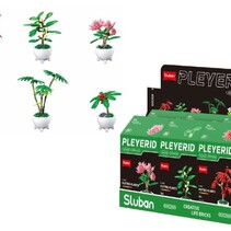 Pleyerid Flowers Bricks Grün 9x6x15,5cm - Topfpflanzen