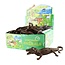 Stretch crocodile 2 assorted, 31cm