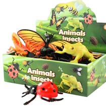 Insecten 12 assorti, 10-23cm