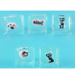 Squeeze Ice Cube 4cm - Cat/Paw 50gr.