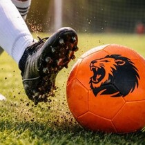 Voetbal Oranje size 5 - Leeuw