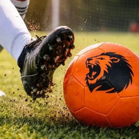 Voetbal Oranje size 5 - Leeuw