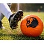 Voetbal Oranje size 5 - Leeuw