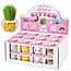 Growing Grass Kit - Cats Animals