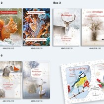 10 kerstkaarten + envelop in box 10x6 stuks - Goede