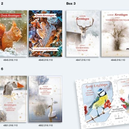 10 kerstkaarten + envelop in box 10x6 stuks - Goede