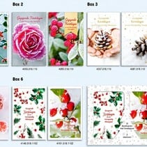 10 kerstkaarten + envelop in box 6x10 stuks - Gezegende
