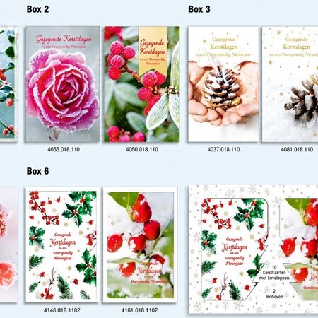 10 kerstkaarten + envelop in box 6x10 stuks - Gezegende