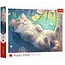 Puzzle 1.000-Piece – Perfect Relaxation