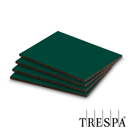 Trespa® Izeon RAL6009 Fir Green / Tannengrün 6mm Trespa® Izeon RAL6009 Fir Green / Tannengrün 6mm