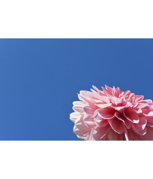 Pink space