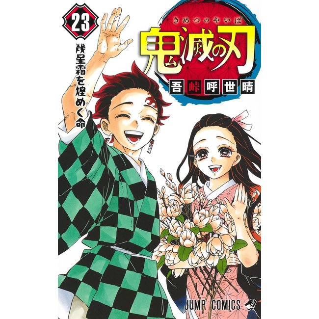 DEMON SLAYER (KIMETSU NO YAIBA) 23