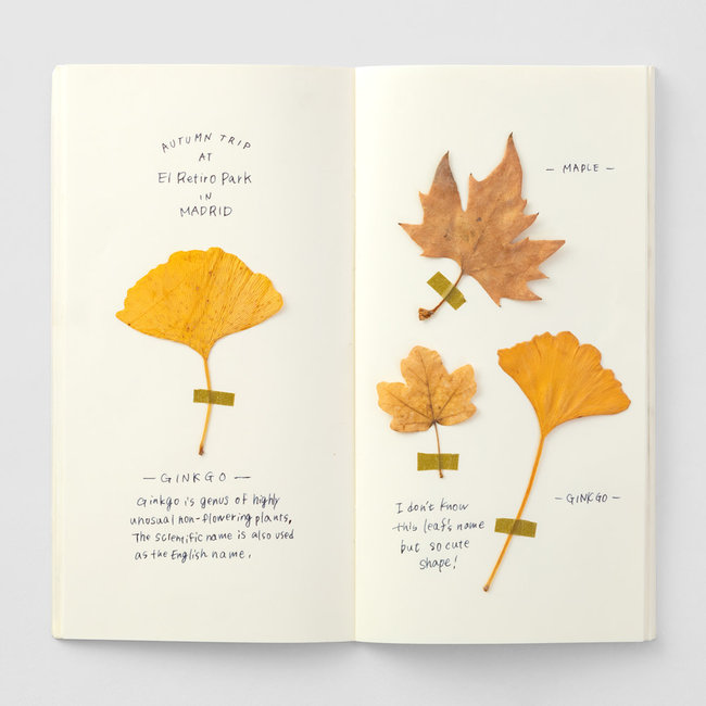 025.TRAVELER'S notebook Refill MD Paper Cream (Regular Size)