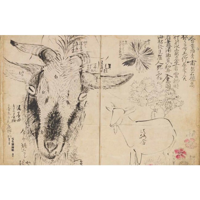 An Introduction To Maruyama Okyo (in Japanese)