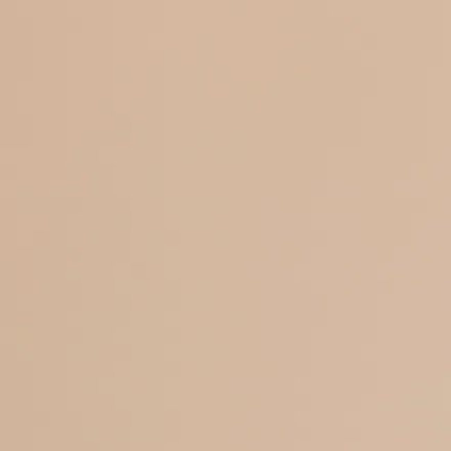 Trunk Shape Toolbox T-360 Beige