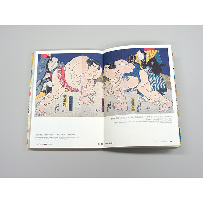 THE PERFECT GUIDE TO SUMOÂ PAPERBACK(BILIGUAL)