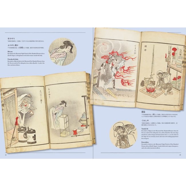 Yokai Storyland : Illustrated Books from the Yumoto Koichi Collection (English)