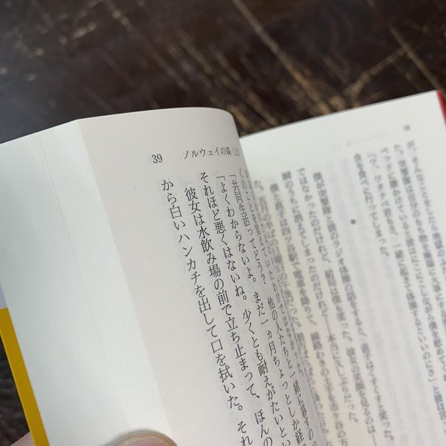 Norwegian Wood (1)- Haruki Murakami (Japanese)