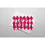 Card: Harlequin Birthday Raspberry/ Takako Copeland