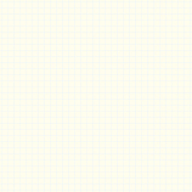 2mm Grid Notes A5 Red