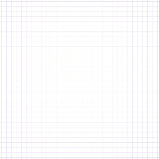 2mm Grid Notes A5W Navy