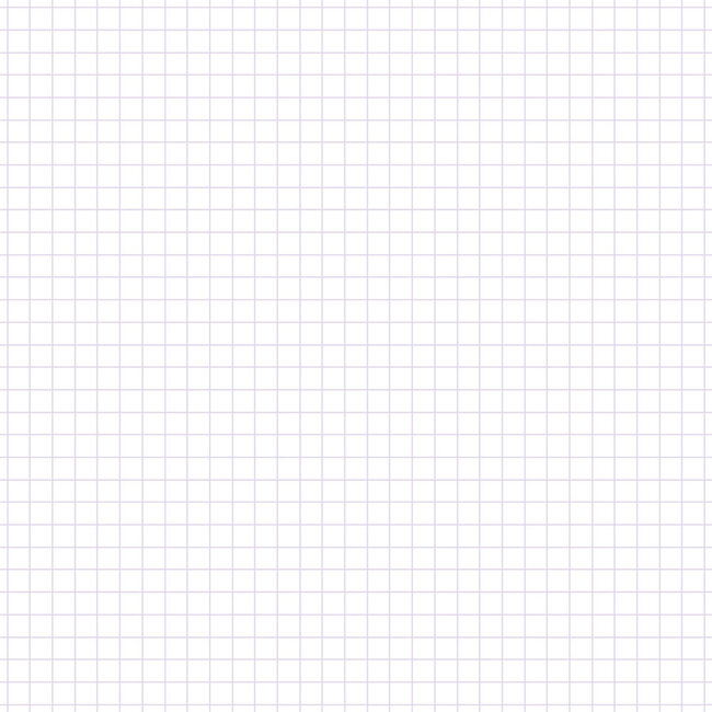 2mm Grid Notes A5W Gray