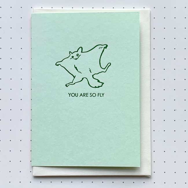 Card: You Are So Fly/ Takako Copeland