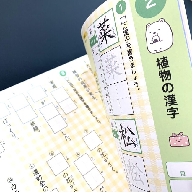 Kanji Drill Grade 4 - Sumikkogurashi