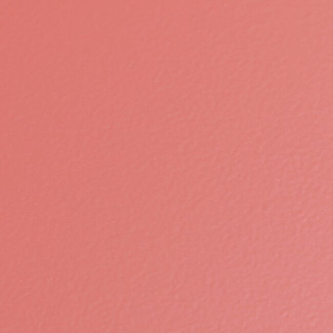 Trunk Shape Toolbox T-190 Living Coral