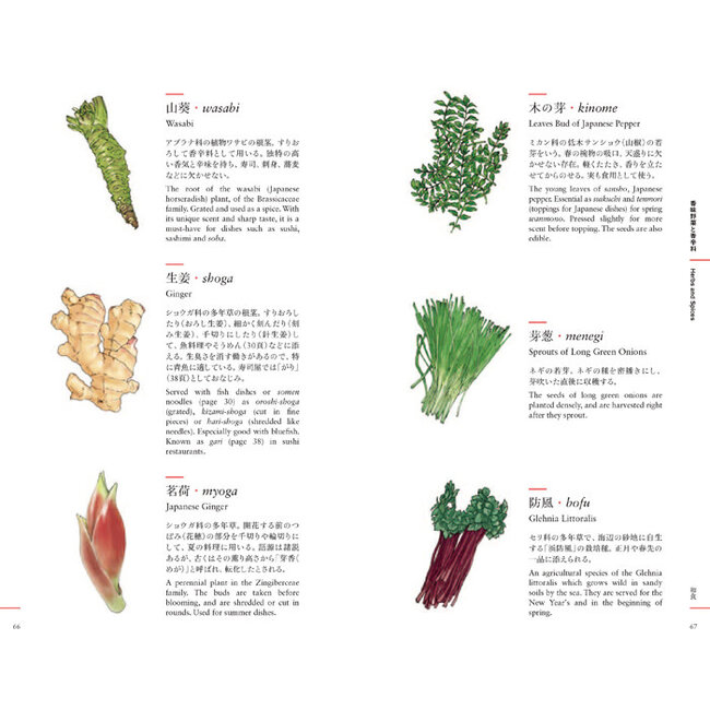 An Illustrated Guide to Japanese Cooking and Annual Events [Bilingual]