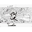 Acky Bright B/W