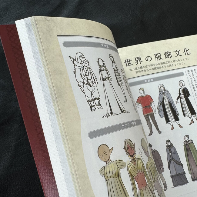 Delicious Dungeon World Guide - The Adventurer's Bible by Ryoko Kui (Japanese)