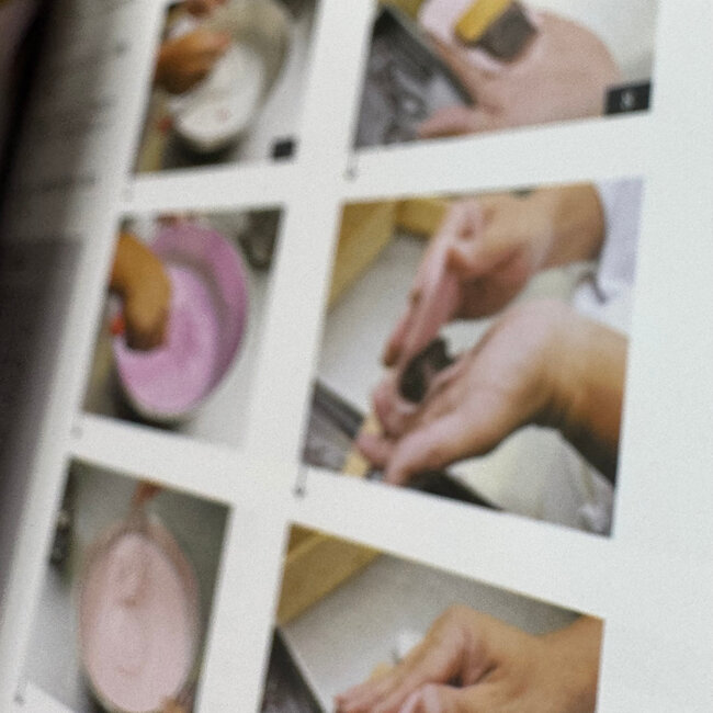 Mastering Wagashi / Traditional Japanese Confections(in Japanese) Wagashi Kyohon(in Japanese)