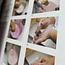 Mastering Wagashi / Traditional Japanese Confections(in Japanese) Wagashi Kyohon(in Japanese)