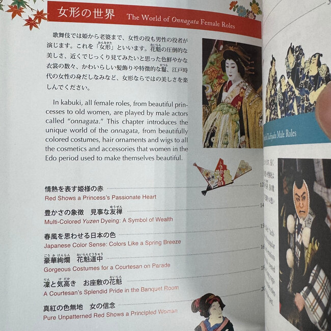 Photographic Kabuki Kaleidoscope