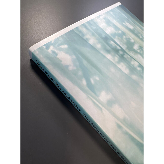 The Sound Of The Mountain [English]