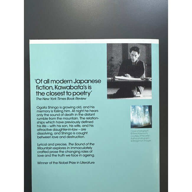 The Sound Of The Mountain [English]