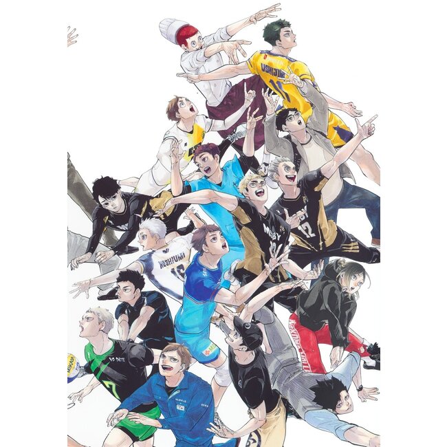 Haikyuu!! 10th Chronicle